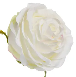 roza-wyrobowa-ecru-12-szt-glowka-kwiatowa-premium