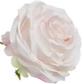 roza-wyrobowa-cream-powder-pink-12-szt-glowka-kwiatowa-premium