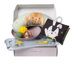 taf-toys-zestaw-prezentowy-niezbednik-do-lezenia-na-brzuszku-13435