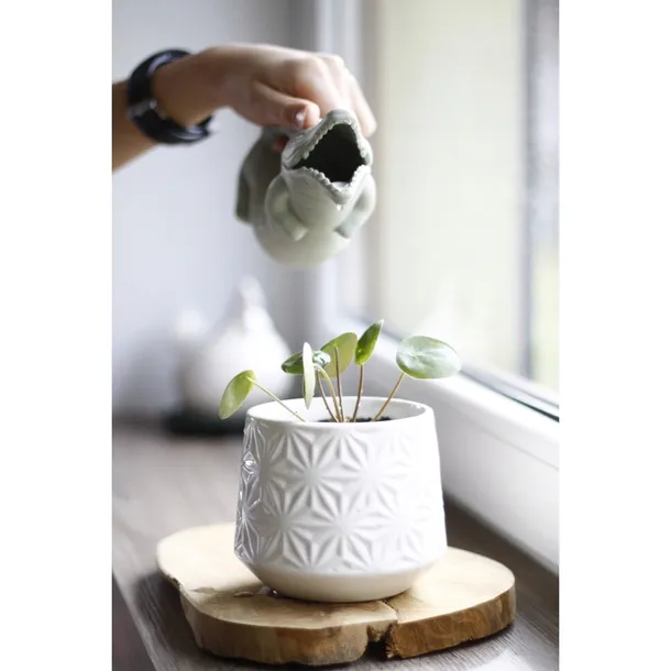 konewka-scrunch-5060240383351-waga-z-opakowaniem-0-15-kg