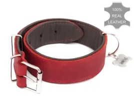 obroza-dla-psa-skorzana-hobbydog-r-xl