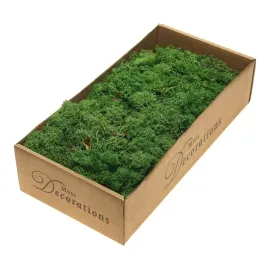 mech-zielony-finlandzki-naturalny-dekoracja-ozdobna-500g