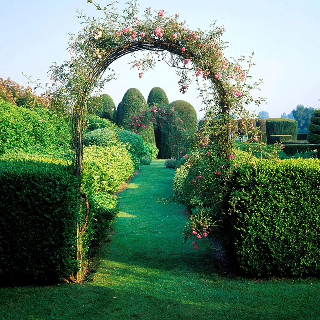 pergola-metal-argo-luk-240-cm