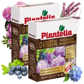 plantella-nawoz-mineralny-do-rododendronow-hortensji-wrzosow-borowek-1kg-x2