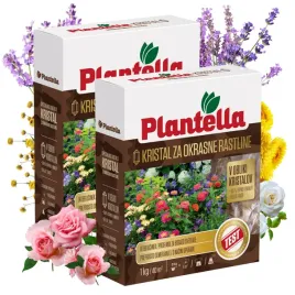 plantella-nawoz-do-roslin-kwitnacych-zywoplotow-krzewow-roz-lawendy-1kg-x2