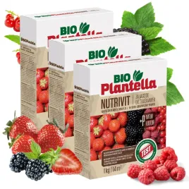 bio-plantella-nawoz-ekologiczny-do-truskawek-malin-i-jezyn-porzeczek-1kg-x3