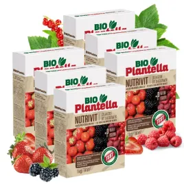 bio-plantella-nawoz-ekologiczny-do-truskawek-malin-i-jezyn-porzeczek-1kg-x6