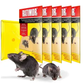 ratimor-plus-lep-na-myszy-i-szczury-pulapka-klejowa-z-wabikiem-5-sztuk