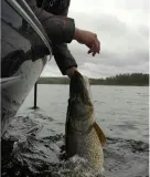 mistrall-kolowroek-silver-spin-30-3000-marka-mistrall