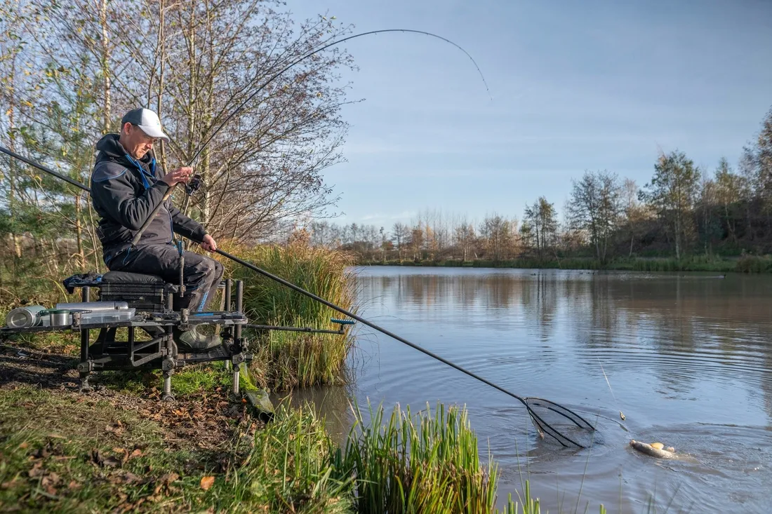 proca-preston-match-pult