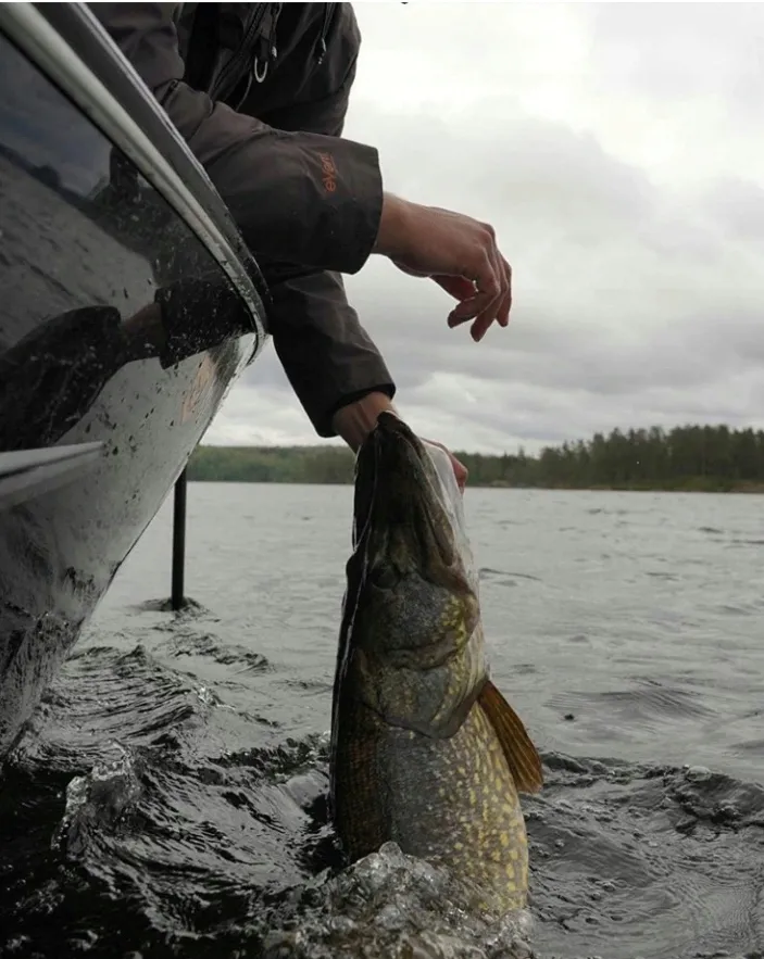 kolowrotek-dam-quick-3-fs-3000-9-1bb-marka-dam