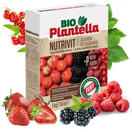 bio-plantella-nawoz-ekologiczny-do-truskawek-malin-jezyn-porzeczek-1kg