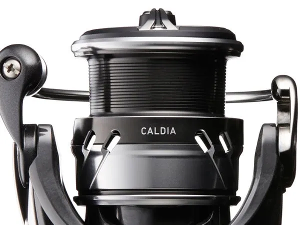kolowrotek-daiwa-caldia-lt-2500d-xh-przelozenie-6-2-1