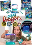 aqua-dragons-eggspress-live-aquatic-creatures-marka-aqua-dragons