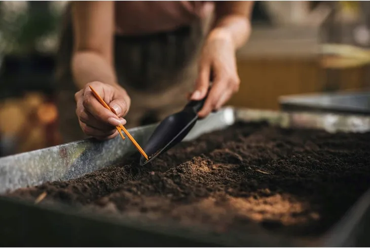 fiskars-solid-lopatka-do-wysiewu-33-mm-material-uchwytu-tworzywo-sztuczne