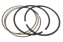 pierscienie-briggs-10-18-hp-nadwymiarowe-391782