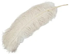 strusie-piora-naturalne-pioro-65-70cm-bezowy-01