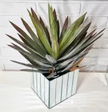 wazon-madex-szklo-20cm-material-szklo-kod-producenta-lustro-oslonka-l-3-20