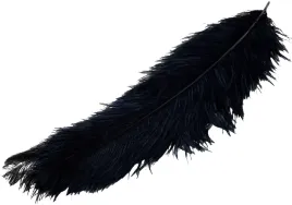 strusie-piora-pioro-dekoracyjne-naturalne-65-70cm