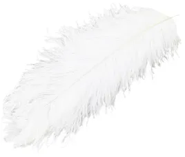 strusie-piora-pioro-dekoracyjne-naturalne-65-70cm