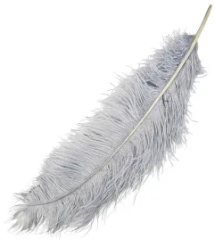 strusie-piora-pioro-naturalne-65-70cm-szare-02