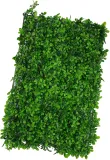 mata-zielone-rosliny-40x60-cm-bukszpan-liscie-marka-madex