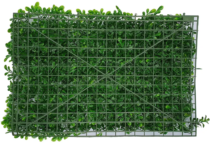 mata-zielone-rosliny-40x60-cm-bukszpan-liscie-rodzaj-inwazyjne