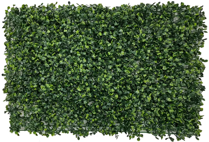 mata-zielone-rosliny-40x60-cm-bukszpan-liscie-maksymalny-udzwig-100-g