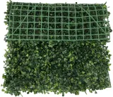 mata-zielone-rosliny-40x60-cm-bukszpan-liscie-kod-producenta-siatka-liscie-bukszpan