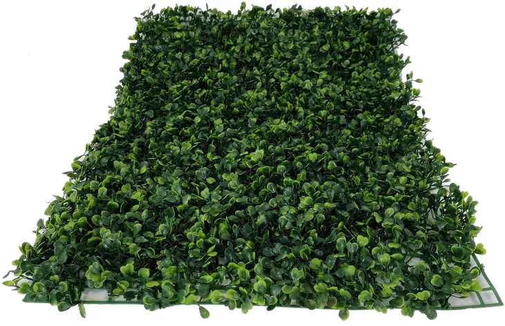 mata-zielone-rosliny-40x60-cm-bukszpan-liscie-typ-haczyk