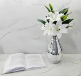 wazon-lustrzany-oslonka-flakon-1a058-26cm-srebrny-srednica-9-5-cm