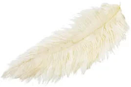 strusie-piora-pioro-dekoracyjne-naturalne-65-70cm
