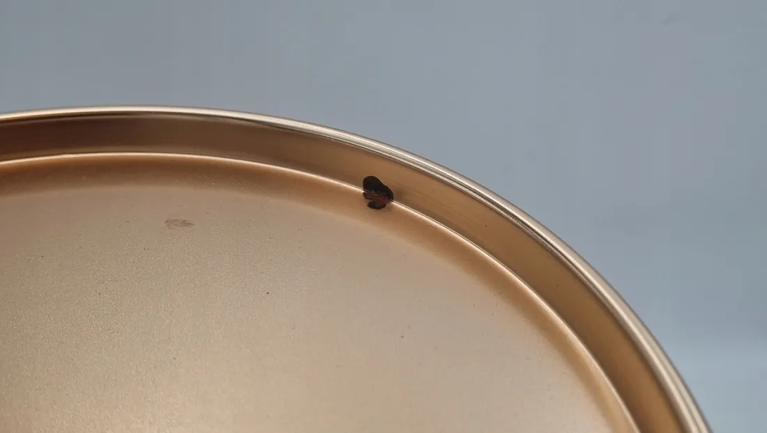 patera-madex-305-cm-marka-madex