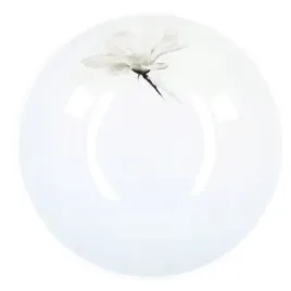 miska-lubiana-venus-porcelana-1000-ml