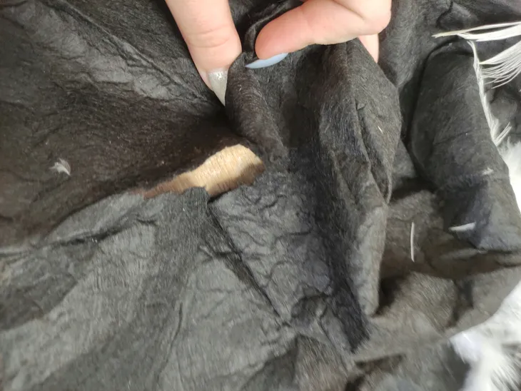 flamastry-staedtler-12-szt-liczba-sztuk-w-zestawie-12-szt