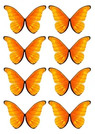 duze-motylki-oplatek-na-tort-motyle-3d-8-sztuk-9cm-h-pomaranczowe