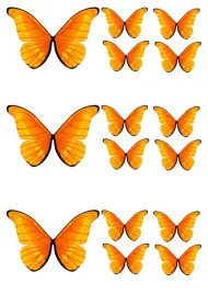 duze-motylki-oplatek-na-tort-motyle-3d-3-x-9cm-12-x-55cm-c-pomaranczowe