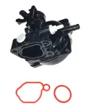 gaznik-briggsandstratton-595656