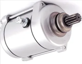 rozrusznik-11-zebow-bashan