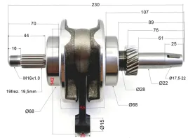 wal-korbowy-bashan-200-bashan-eagle