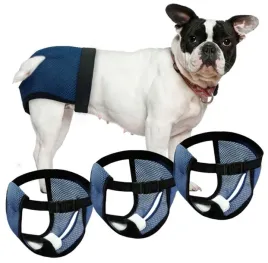 majteczki-fazoo-niebieski-xs