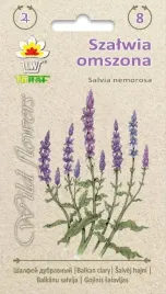szalwia-omszona-nasiona-02g-toraf