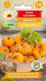 dynia-ozdobna-sweetie-pie-nasiona-2g-toraf