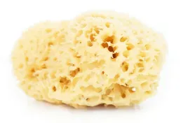 lullalove-naturalna-gabka-do-kapieli-morska-do-twarzy-i-ciala-size-xl