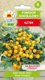 pomidor-koktajlowy-zolty-aztek-nasiona-03g-toraf