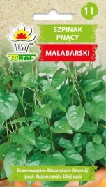 szpinak-malabarski-nasiona-05g-toraf