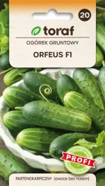 ogorek-orfeus-f1-nasiona-2g-toraf
