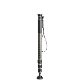 monopod-gitzo-gm2542-seria-2-164cm-35kg