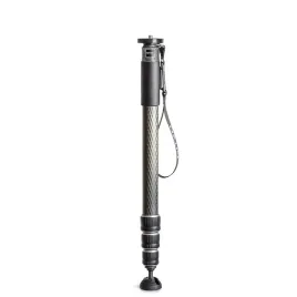 monopod-gitzo-gm4542-seria-4-159cm-35kg