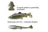 savage-gear-4d-pulse-tail-trout-ss-16cm-51g-przeznaczenie-okonie